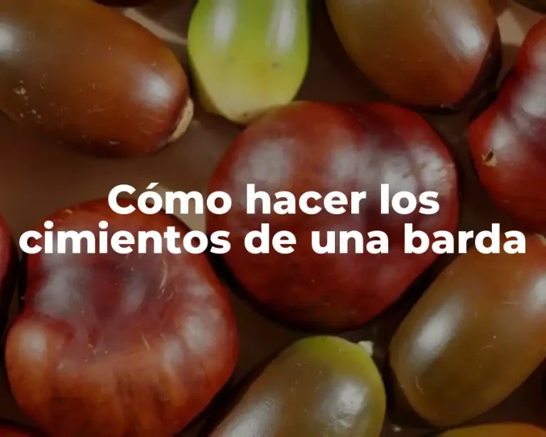 Cómo hacer los cimientos de una barda