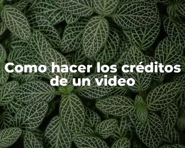 Como hacer los créditos de un video