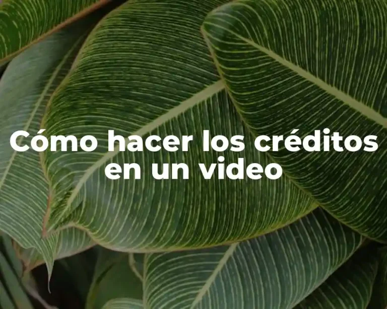 Cómo hacer los créditos en un video