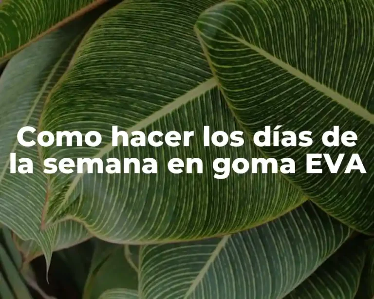 Como hacer los días de la semana en goma EVA