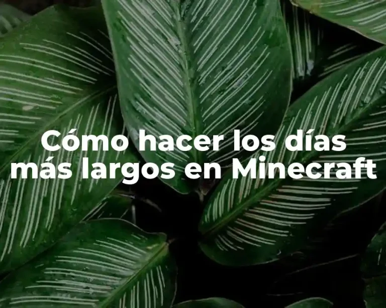 Cómo hacer los días más largos en Minecraft