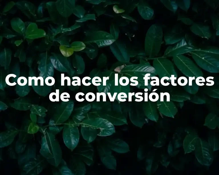 Como hacer los factores de conversión