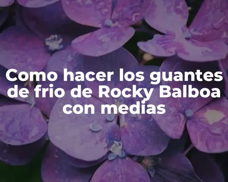 Como hacer los guantes de frio de Rocky Balboa con medias