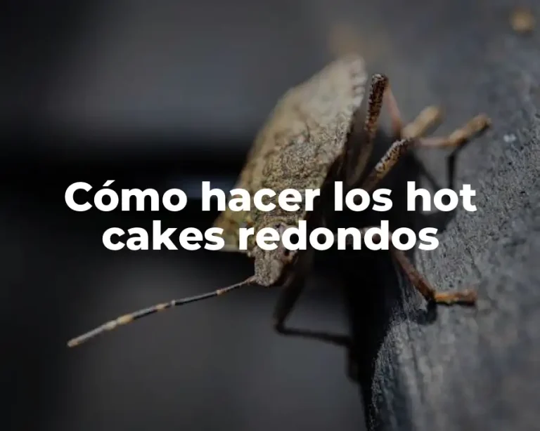 Cómo hacer los hot cakes redondos