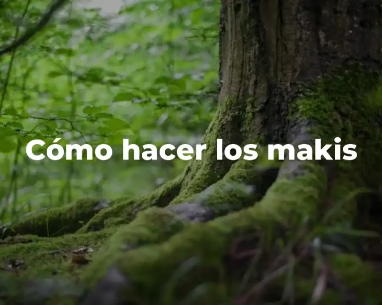 Cómo hacer los makis