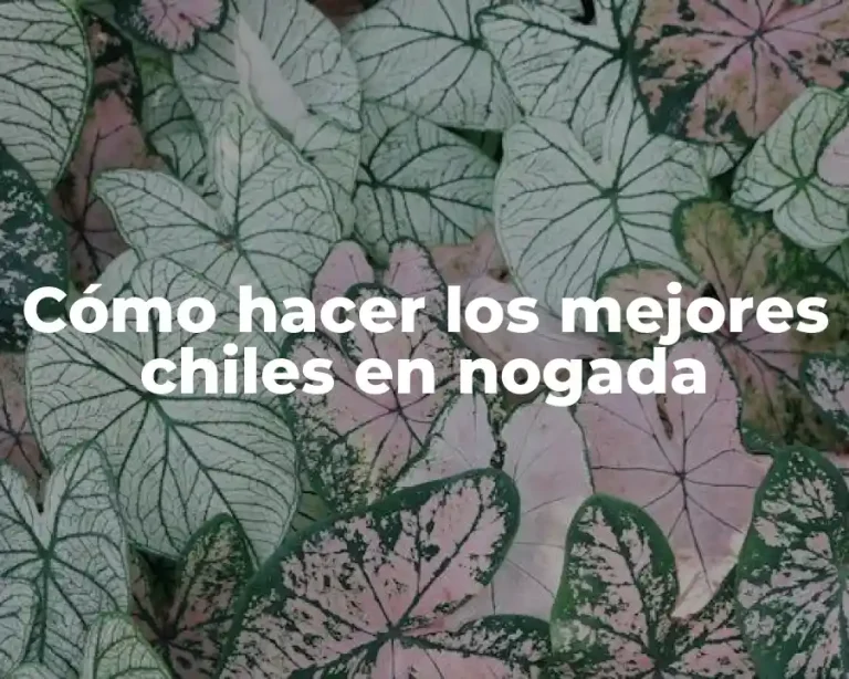 Cómo hacer los mejores chiles en nogada