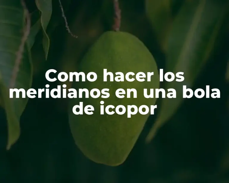 Como hacer los meridianos en una bola de icopor