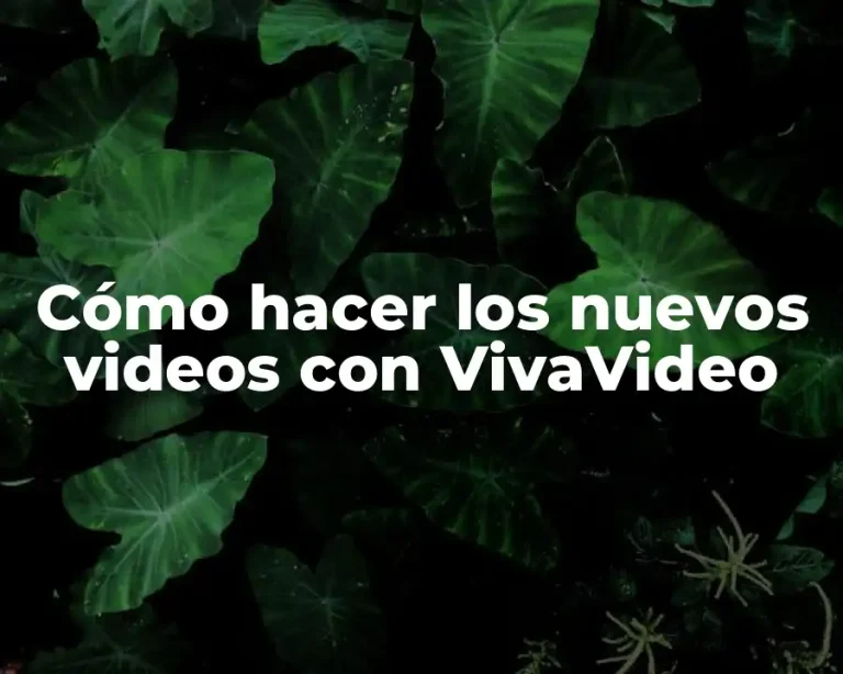 Cómo hacer los nuevos videos con VivaVideo