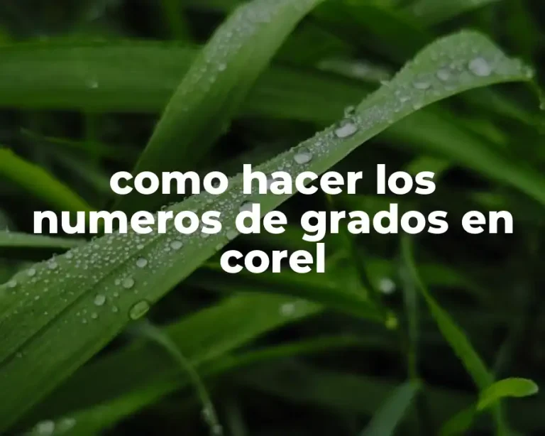como hacer los numeros de grados en corel