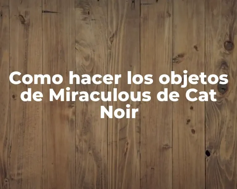 Como hacer los objetos de Miraculous de Cat Noir