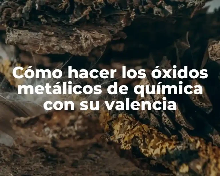 Cómo hacer los óxidos metálicos de química con su valencia