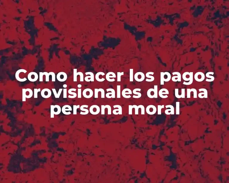 Como hacer los pagos provisionales de una persona moral
