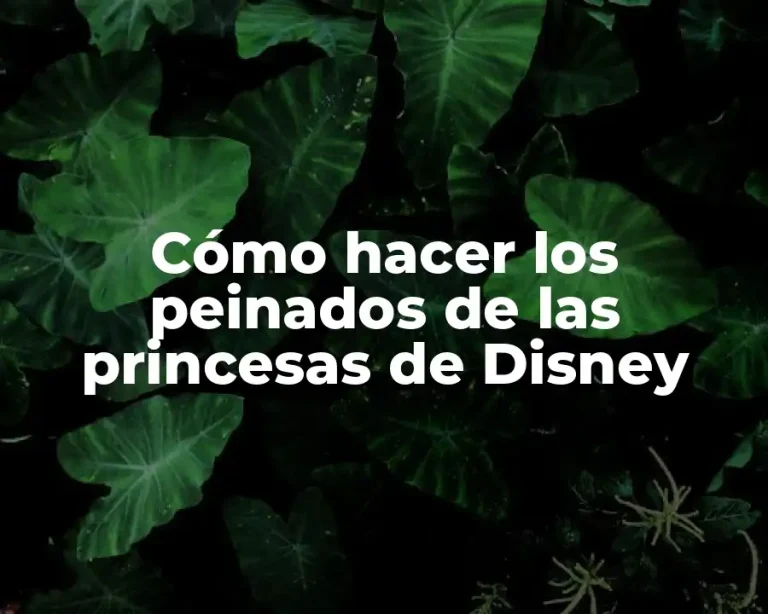 Cómo hacer los peinados de las princesas de Disney