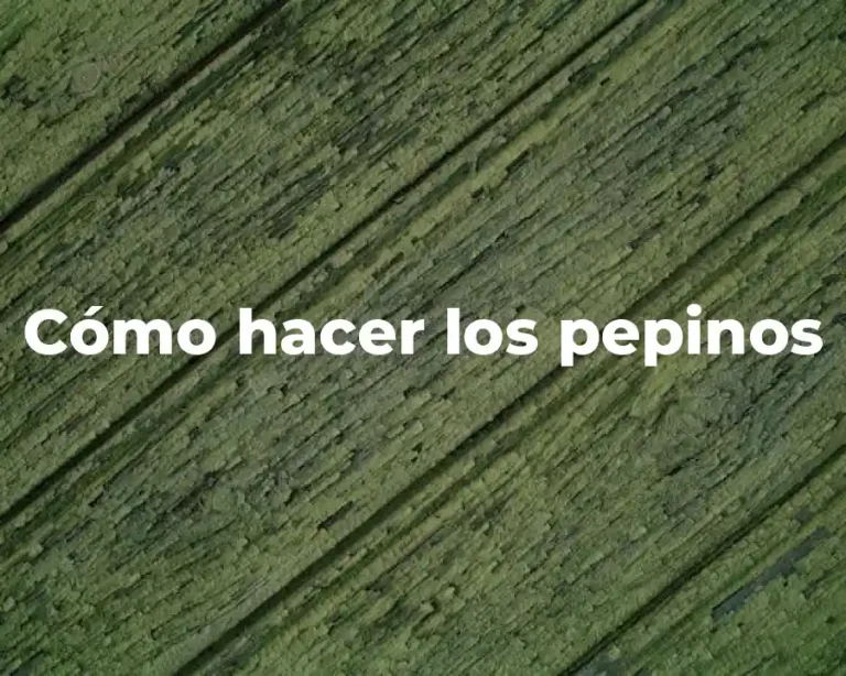 Cómo hacer los pepinos