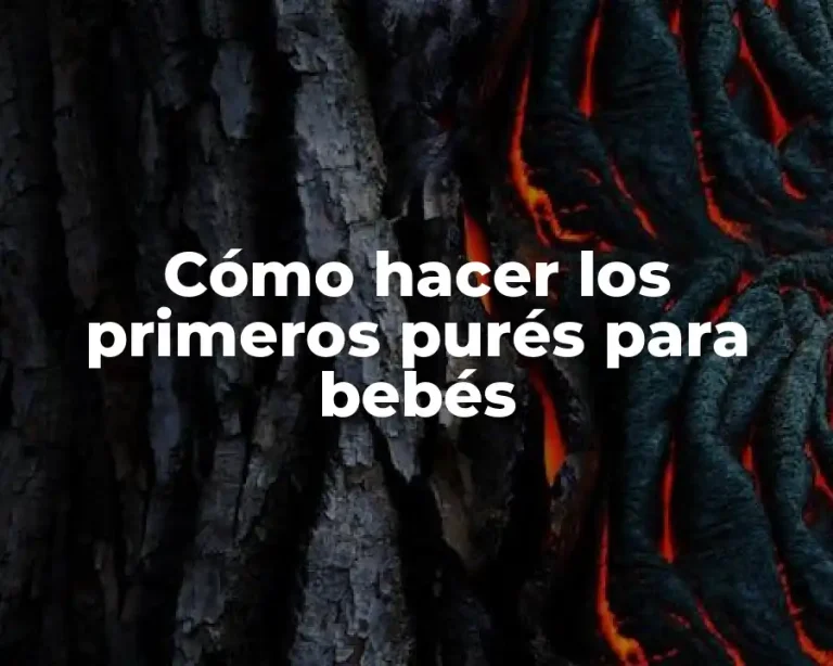 Cómo hacer los primeros purés para bebés