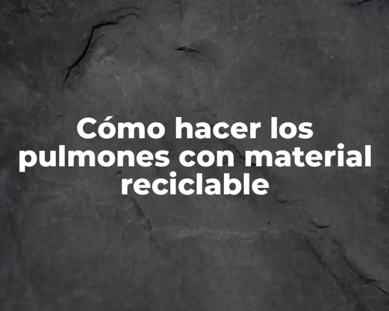 Cómo hacer los pulmones con material reciclable