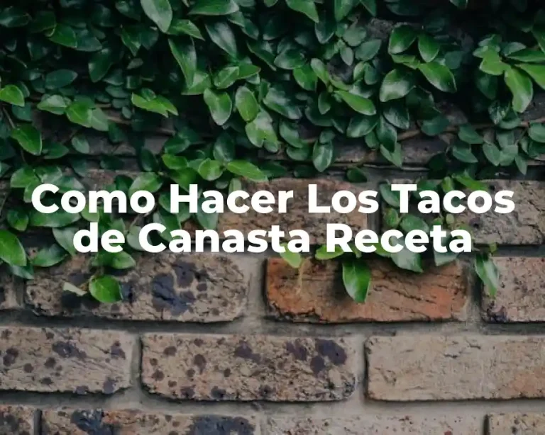 Como Hacer Los Tacos de Canasta Receta