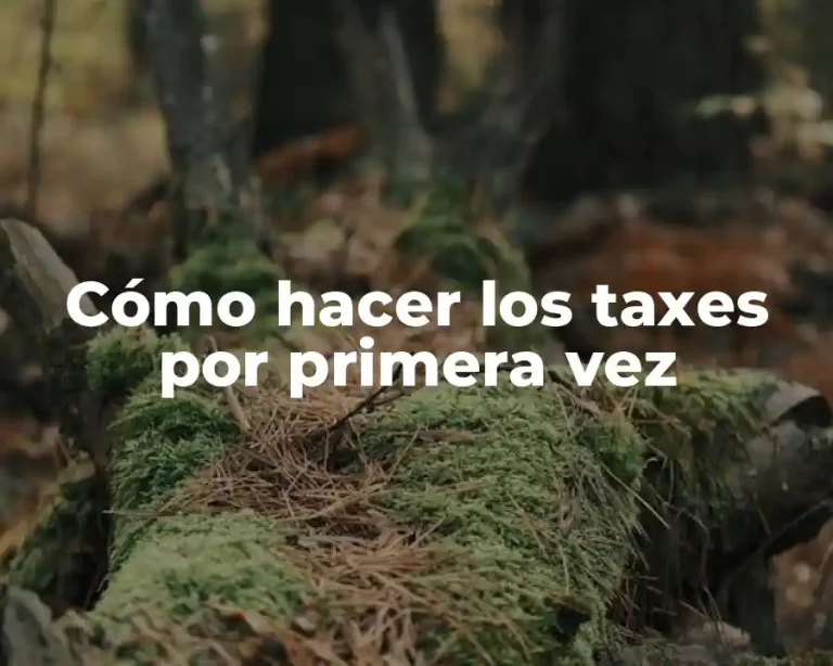 Cómo hacer los taxes por primera vez