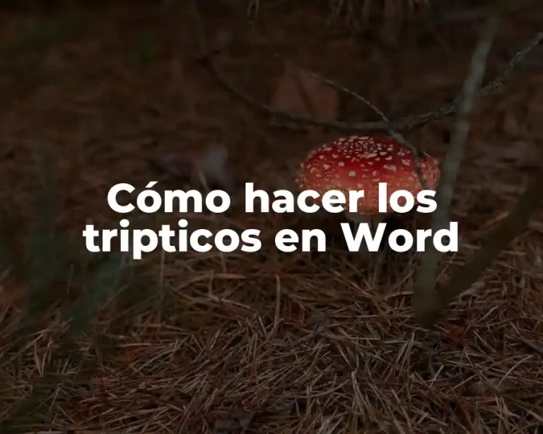 Cómo hacer los tripticos en Word