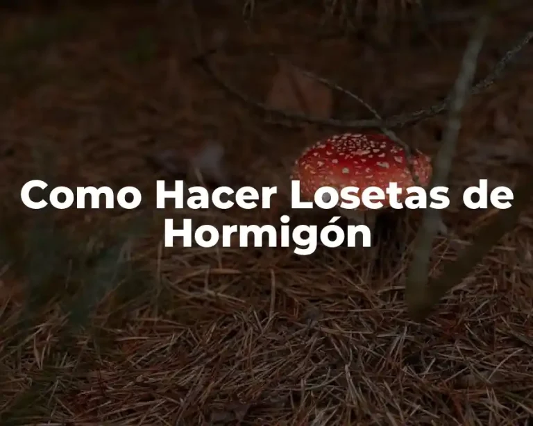 Como Hacer Losetas de Hormigón