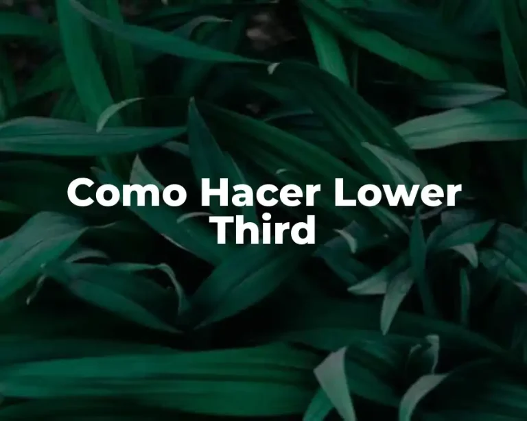 Como Hacer Lower Third