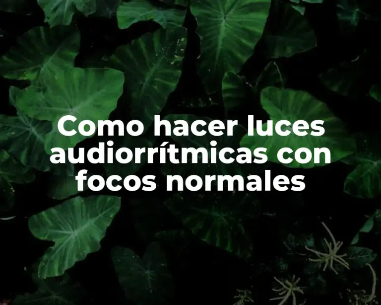 Como hacer luces audiorrítmicas con focos normales