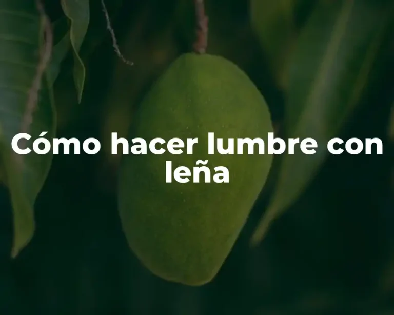 Cómo hacer lumbre con leña