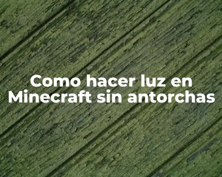 Como hacer luz en Minecraft sin antorchas