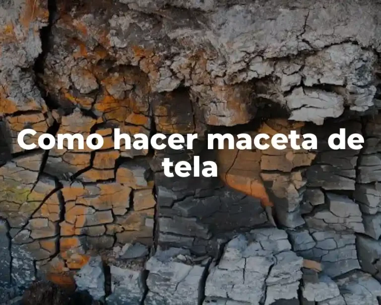 Como hacer maceta de tela