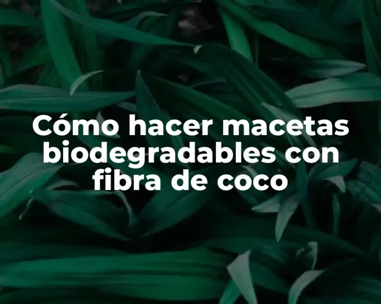 Cómo hacer macetas biodegradables con fibra de coco