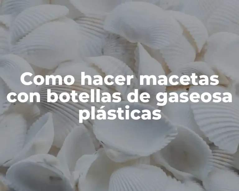 Como hacer macetas con botellas de gaseosa plásticas