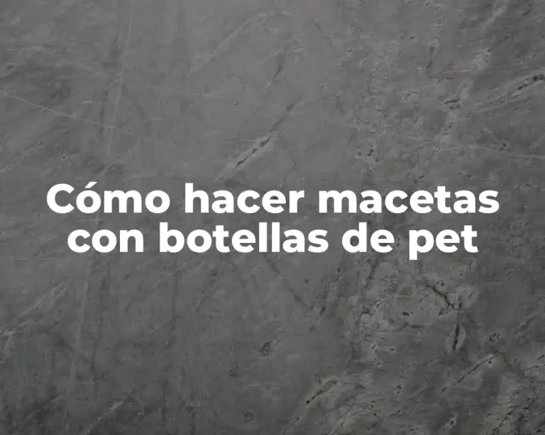 Cómo hacer macetas con botellas de pet