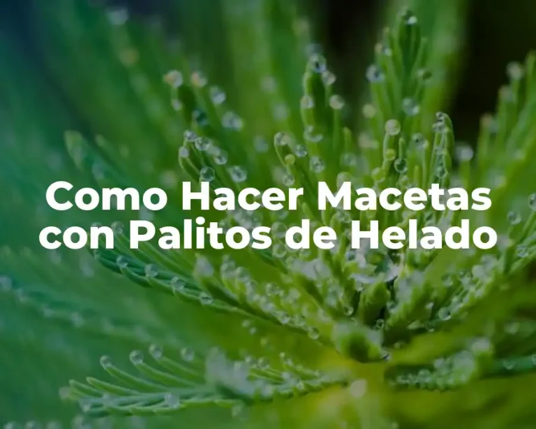 Como Hacer Macetas con Palitos de Helado