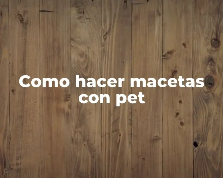 Como hacer macetas con pet