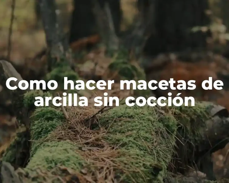 Como hacer macetas de arcilla sin cocción