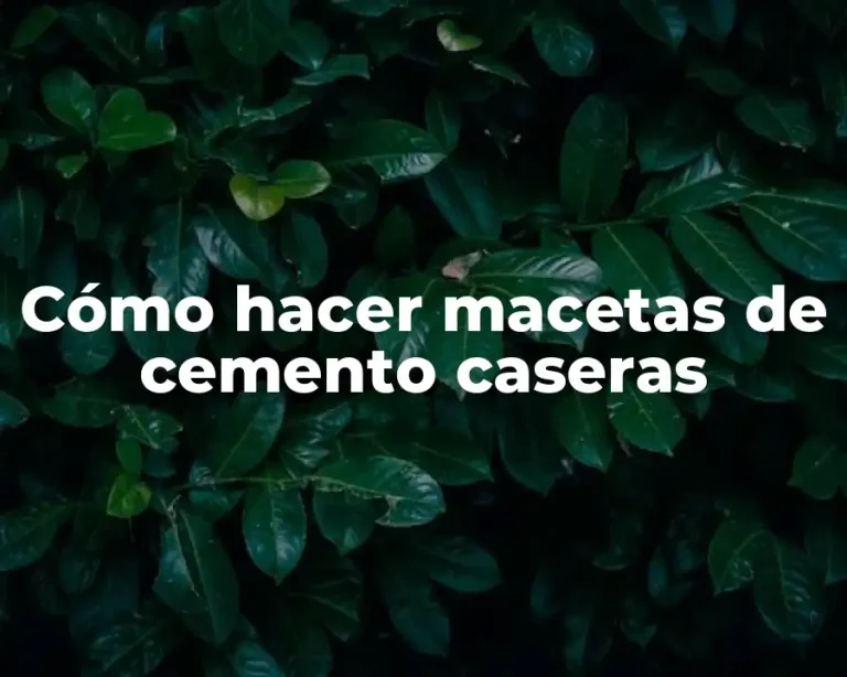 Cómo hacer macetas de cemento caseras