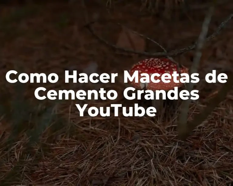 Como Hacer Macetas de Cemento Grandes YouTube