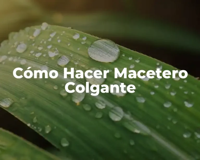 Cómo Hacer Macetero Colgante