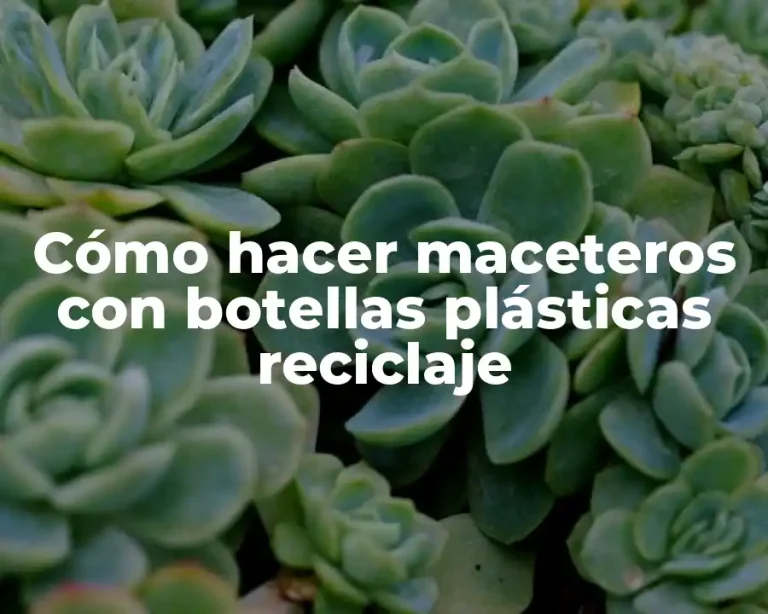 Cómo hacer maceteros con botellas plásticas reciclaje