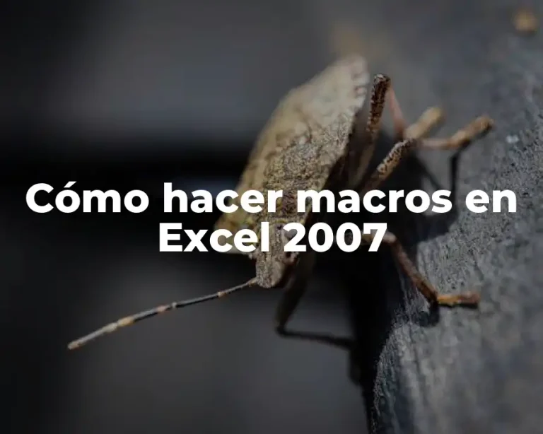 Cómo hacer macros en Excel 2007