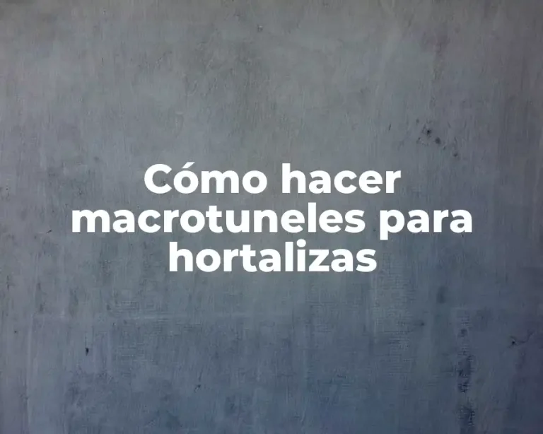 Cómo hacer macrotuneles para hortalizas
