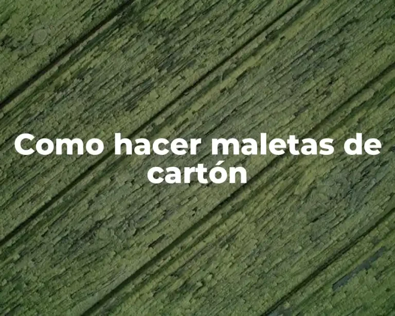 Como hacer maletas de cartón