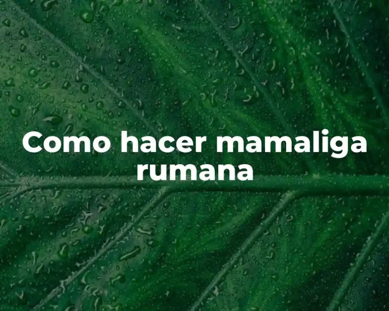 Como hacer mamaliga rumana