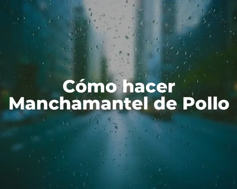 Cómo hacer Manchamantel de Pollo