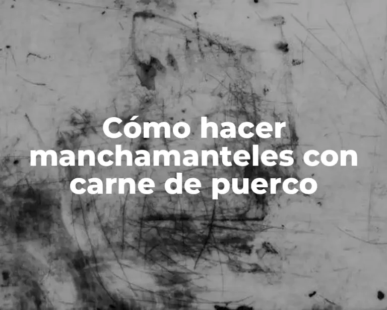 Cómo hacer manchamanteles con carne de puerco