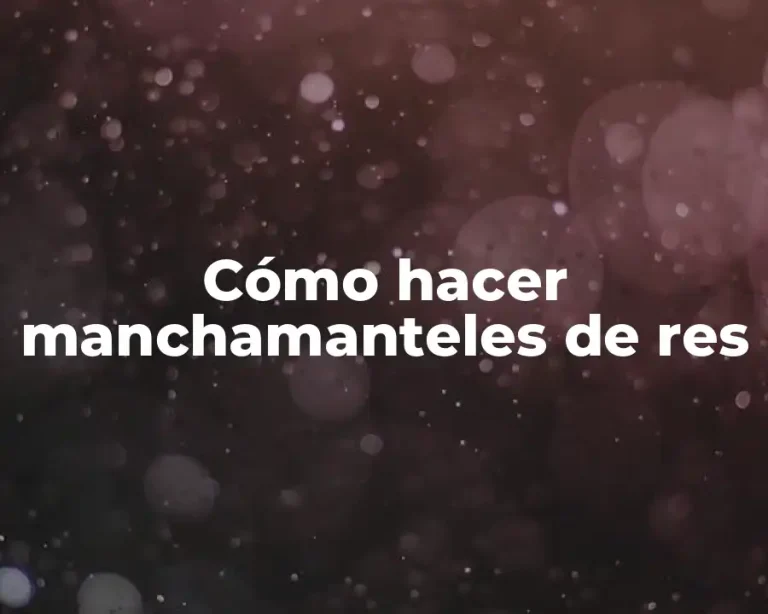 Cómo hacer manchamanteles de res