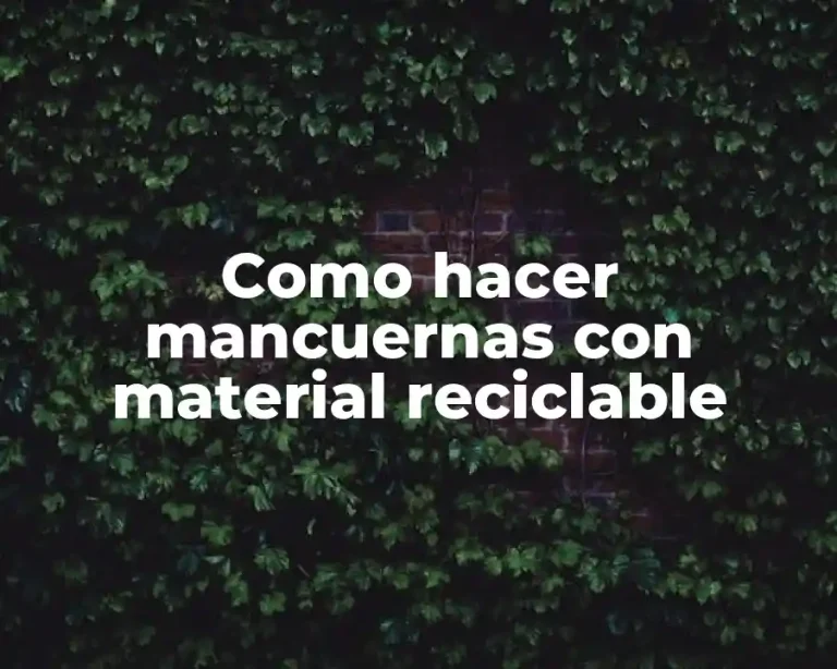 Como hacer mancuernas con material reciclable