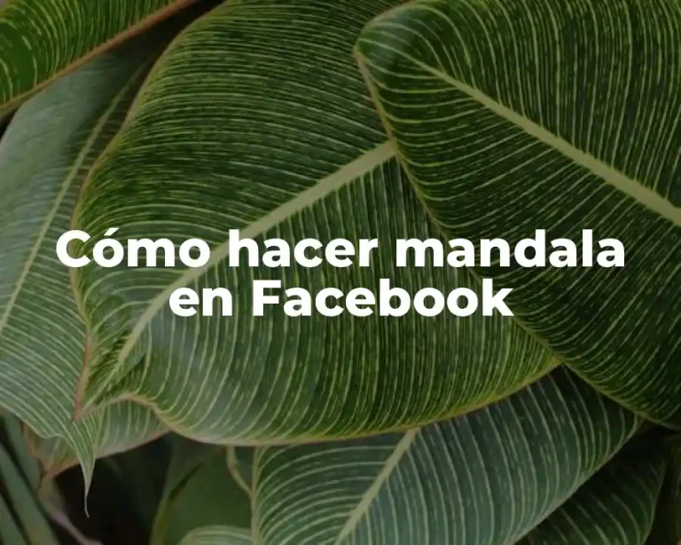 Cómo hacer mandala en Facebook