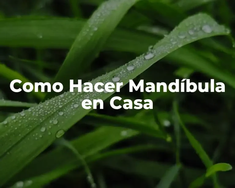 Como Hacer Mandíbula en Casa