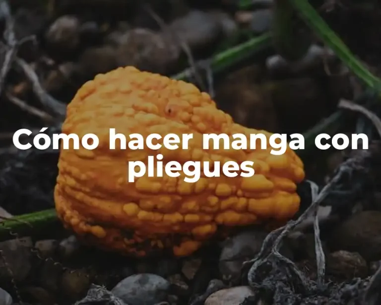 Cómo hacer manga con pliegues